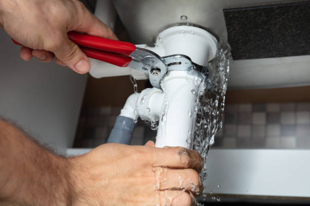 Best Flooded house restoration  in Vinton, LA