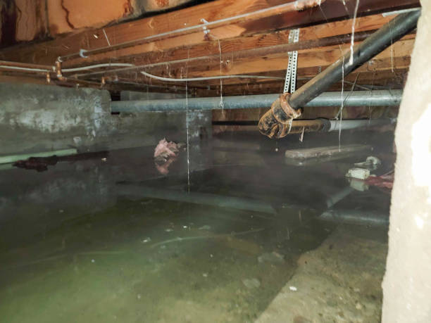 Best Water damage restoration company  in Vinton, LA