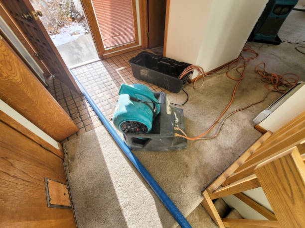 Best Commercial water damage restoration  in Vinton, LA