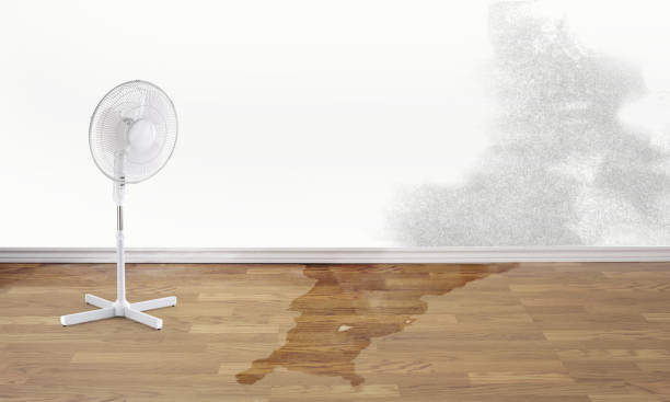 Best Local water damage restoration  in Vinton, LA