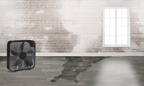 Best Residential water damage restoration  in Vinton, LA