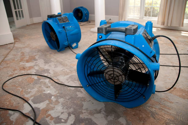 Best Mold removal after water damage  in Vinton, LA