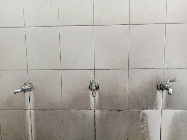 Best Basement water damage restoration  in Vinton, LA
