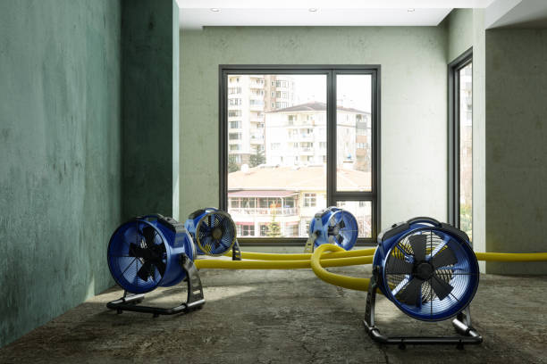  Vinton, LA Water damage restoration Pros